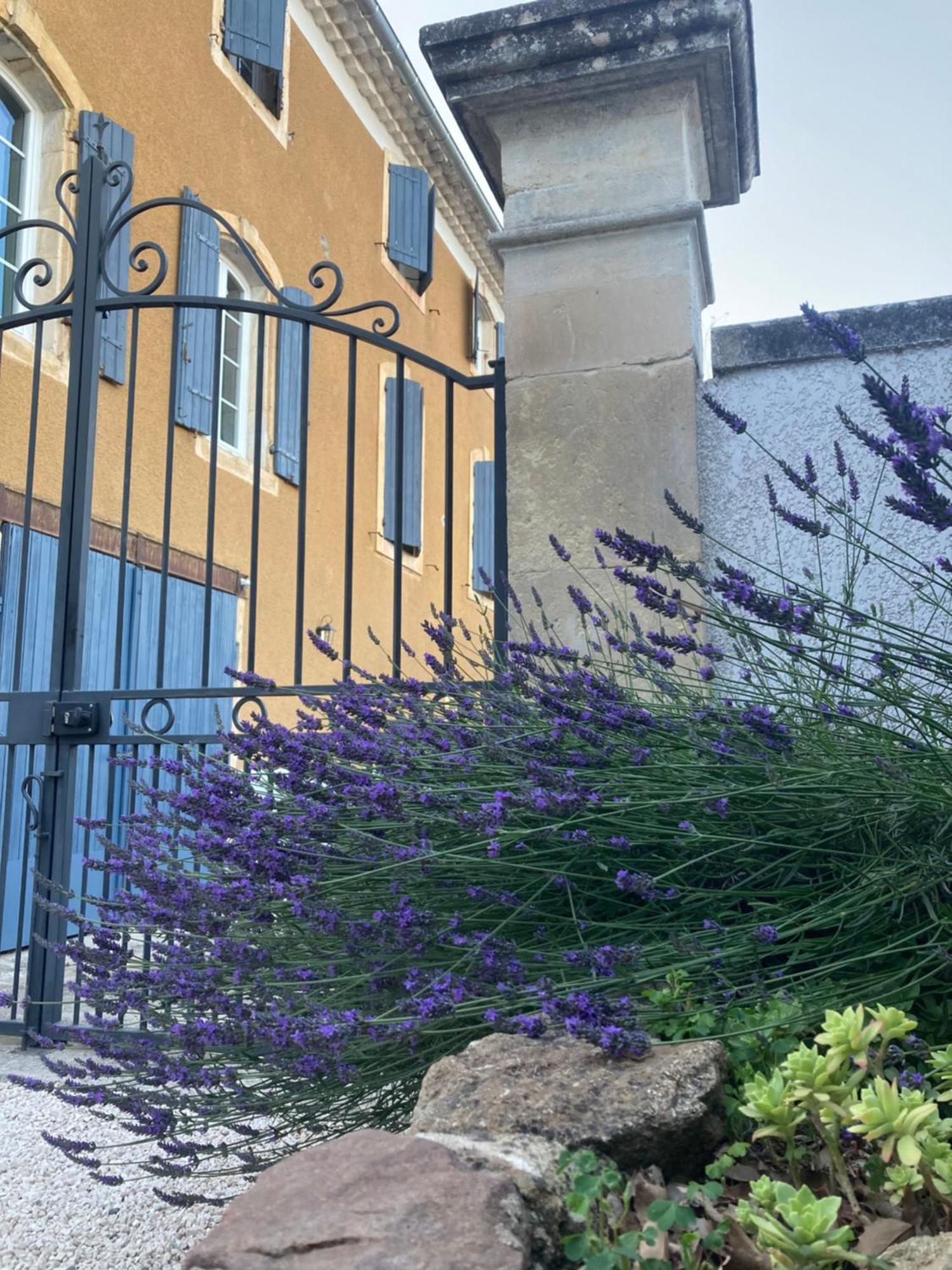 Bed and Breakfast Domaine Forvent Saint-Julien-de-Peyrolas Exterior foto