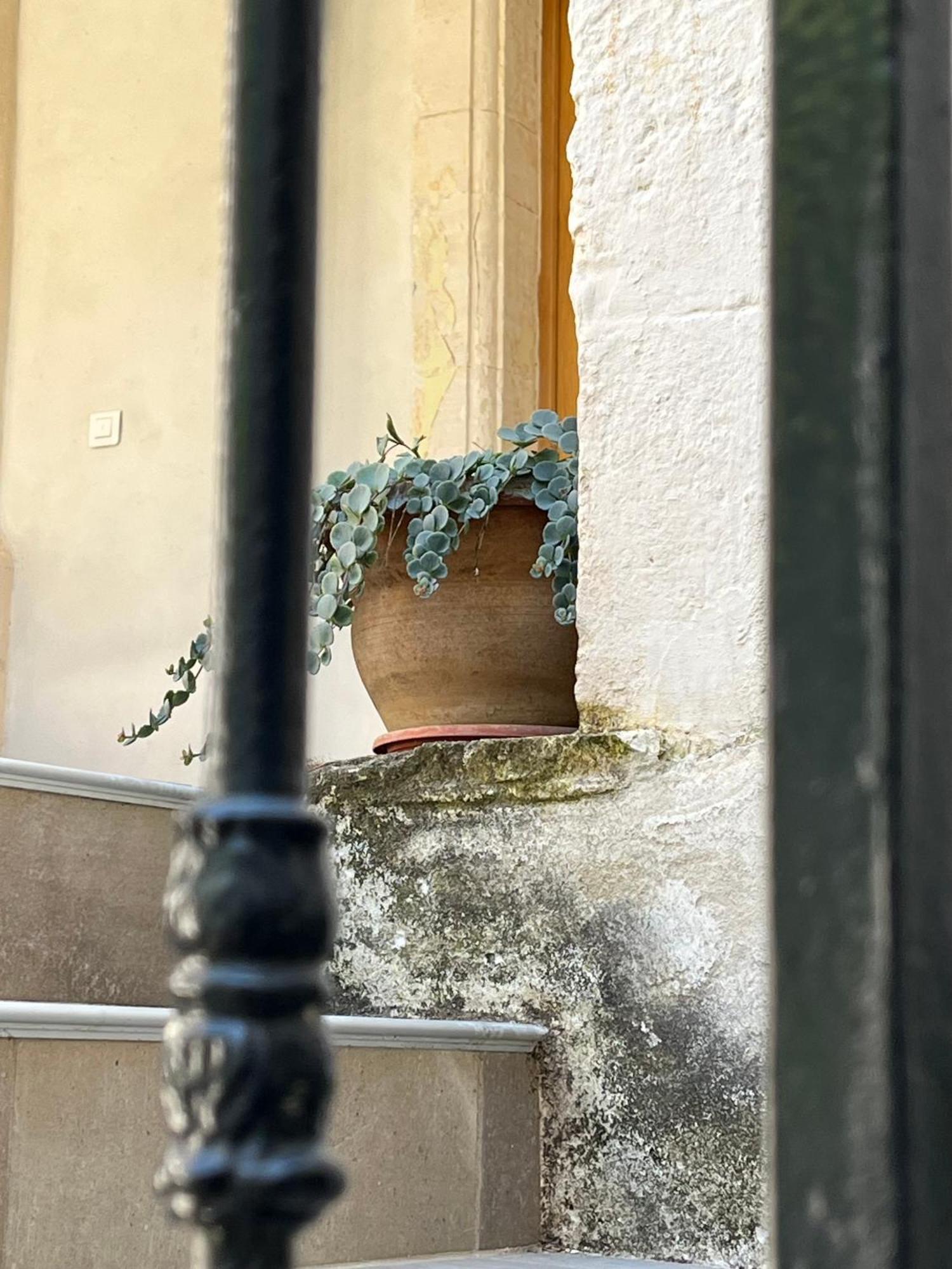 Bed and Breakfast Domaine Forvent Saint-Julien-de-Peyrolas Exterior foto