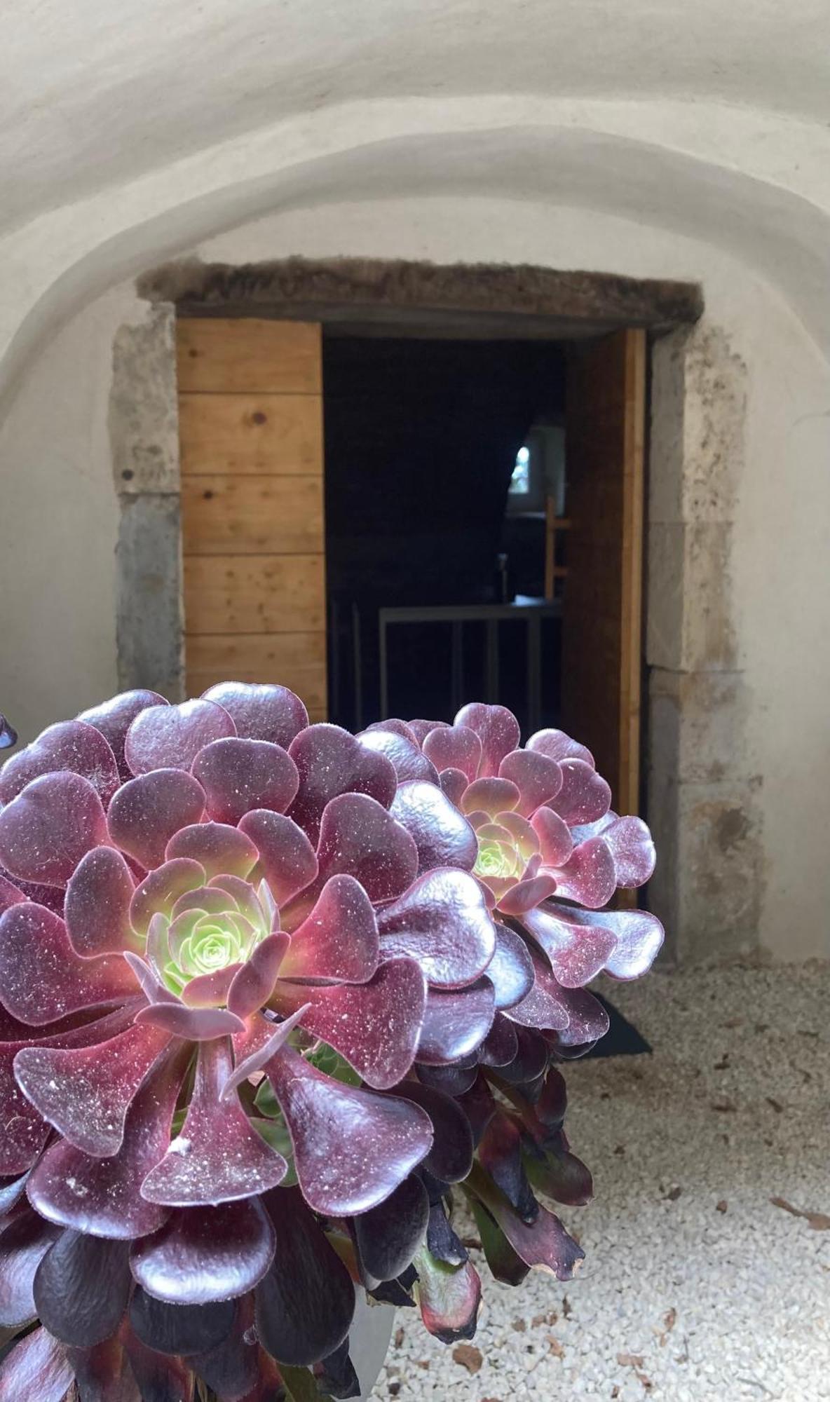 Bed and Breakfast Domaine Forvent Saint-Julien-de-Peyrolas Exterior foto