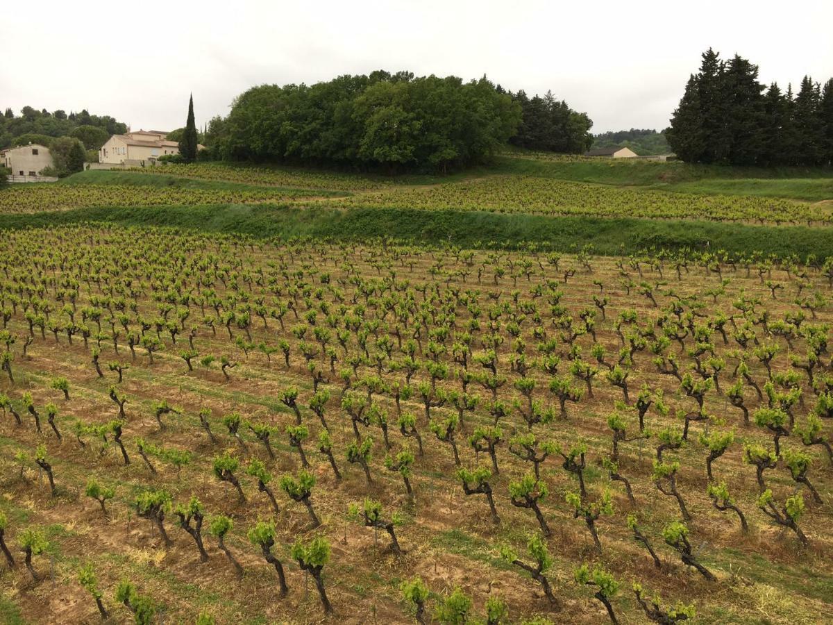 Bed and Breakfast Domaine Forvent Saint-Julien-de-Peyrolas Exterior foto